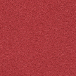 Corkwood Бордовый