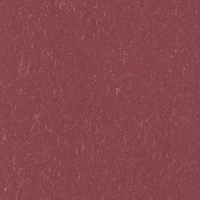 Hot Stamping бордовый крафт
