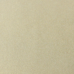 Colorful Tracing paper 105г 787*1092 калька золото