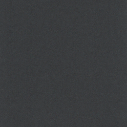 Black Card 250г 787*1092 черный